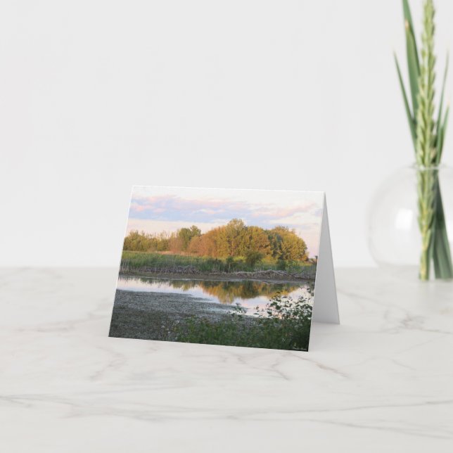 Árboles reflectantes - Tarjeta de saludo en blanco (Anverso)