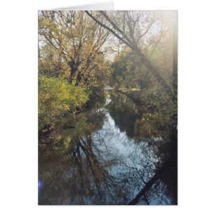Árboles reflectores del agua