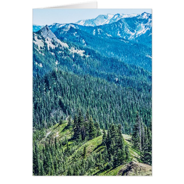 Árboles y crestas (Frente)