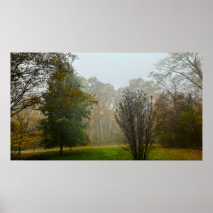 Árboles y Niebla, Póster