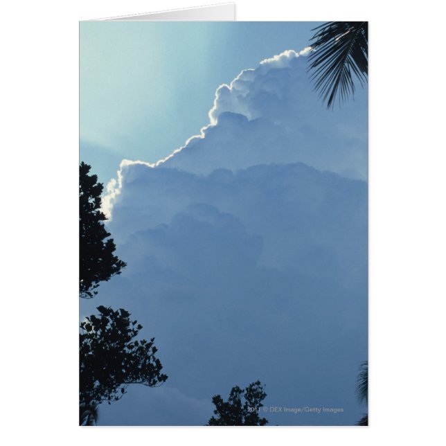 Árboles y nubes (Frente)