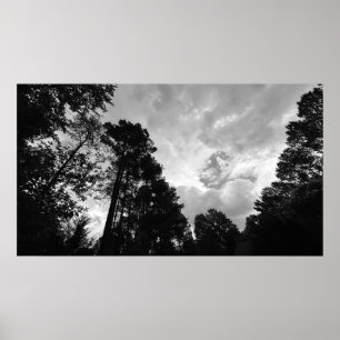 Árboles y Nubes, Póster
