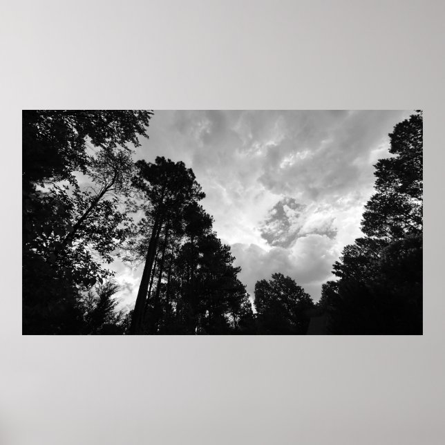 Árboles y Nubes,  Póster (Frente)
