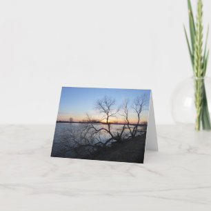 Árboles y puesta de sol - Tarjeta de saludo en bla