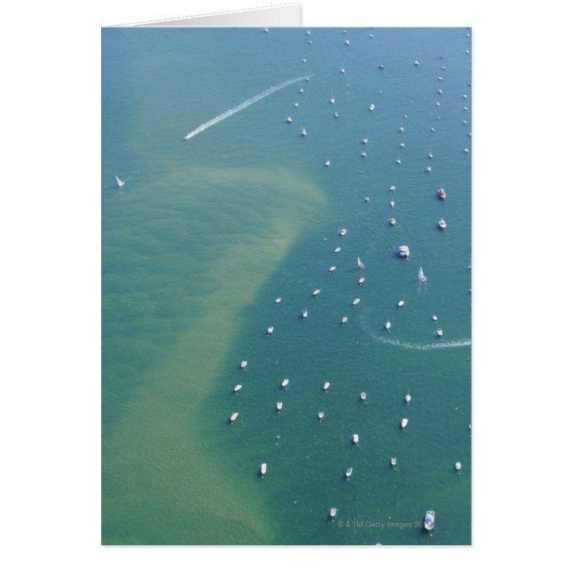 Arcachon Bassin (Frente)