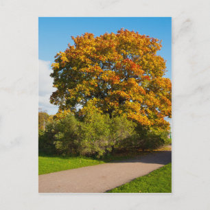 Arce de jardín, postal de Rusia de San Petersburgo