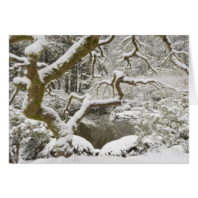 Arce japonés cubierto de nieve (Anverso (Horizontal))