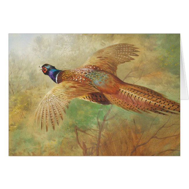 Archibald Thorburn Flying Pheasant Bird Art cards (Anverso (Horizontal))
