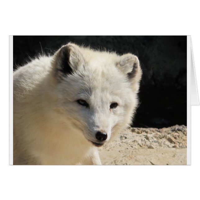 Arco (Anverso (Horizontal))