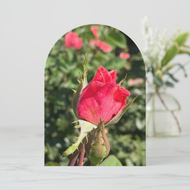 Arco de jardín de rosebud, tarjeta plana (Anverso de pie)