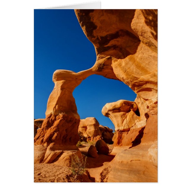 Arco de metal (Frente)