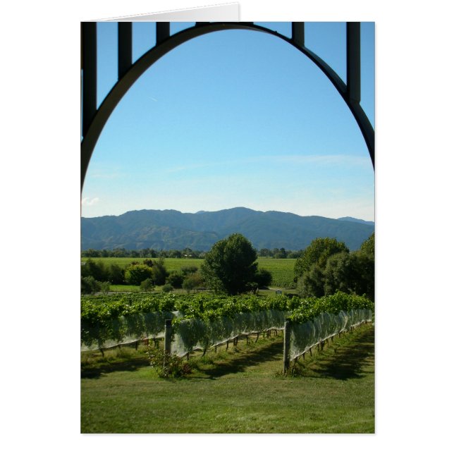 Arco de viñedos (Frente)