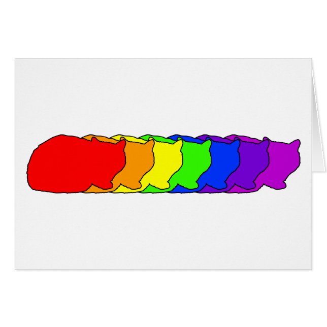 Arco iris exótico (Anverso (Horizontal))