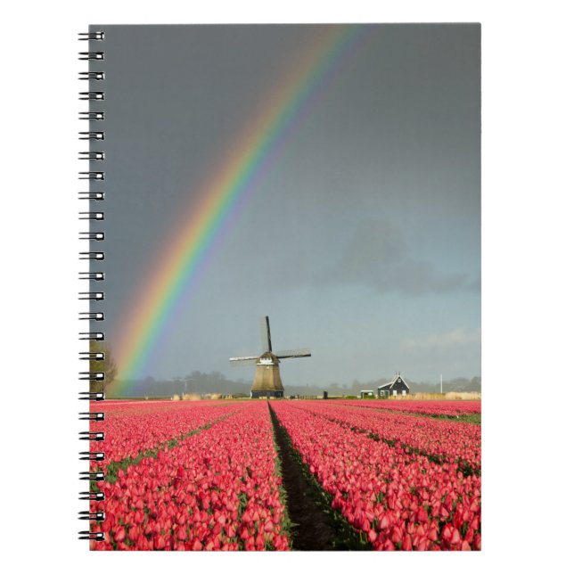 Arco iris, tulipanes y cuaderno del molino de (Frente)