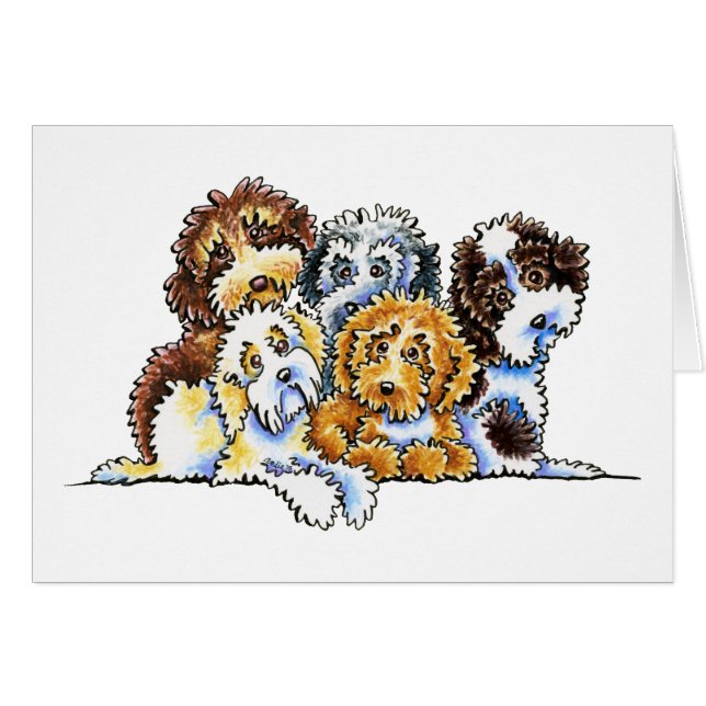 Arcoiris de Cockapoo (Anverso (Horizontal))