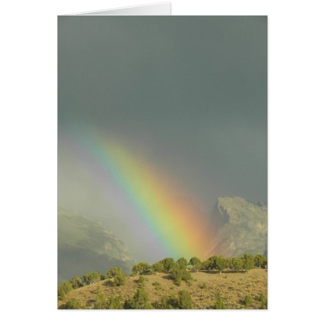 Arcoiris del cañón de Lamoille (Frente)