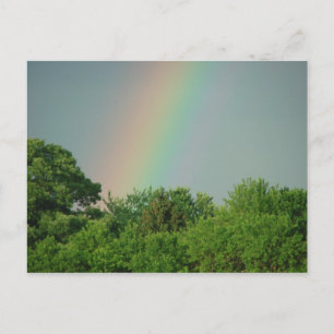 Arcoiris Sobre La Postal Motivacional De Los Árbol