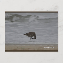 Arcos de arena | Postal Blue Beach Song™