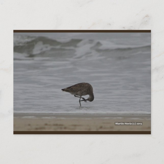 Arcos de arena | Postal Blue Beach Song™ (Anverso)