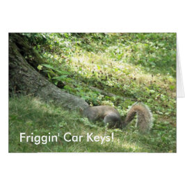 Ardilla buscando llaves de coche