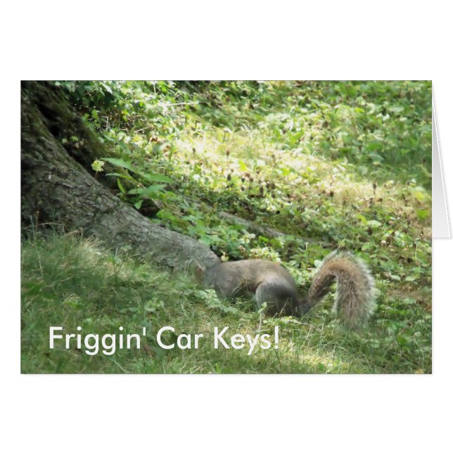 Ardilla buscando llaves de coche (Anverso (Horizontal))