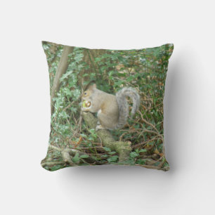 Ardilla con almohada de maíz