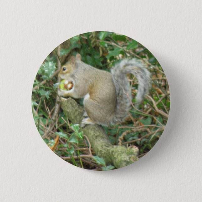 Ardilla con botón Acorn (Anverso)