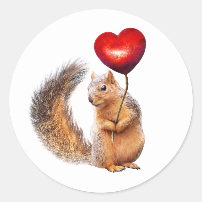 Ardilla con corazón en Pegatinas palos (Anverso)