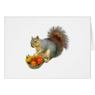 Ardilla con la cesta de tomates