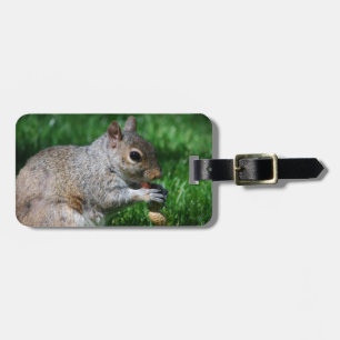 Ardilla con la etiqueta del equipaje de la nuez