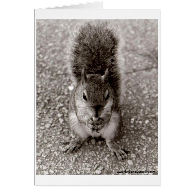 Ardilla con nuez (Frente)