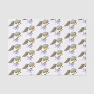 Ardilla con papel tisular de Iris