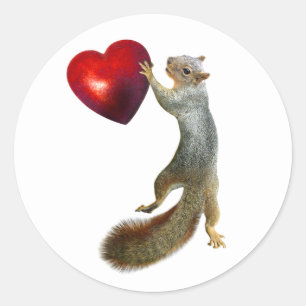ardilla con Pegatina del corazón rojo