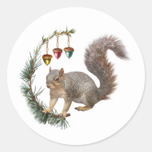 ardilla con Pegatinas de Acorn Swag