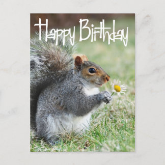ardilla con tarjeta postal de cumpleaños feliz de 