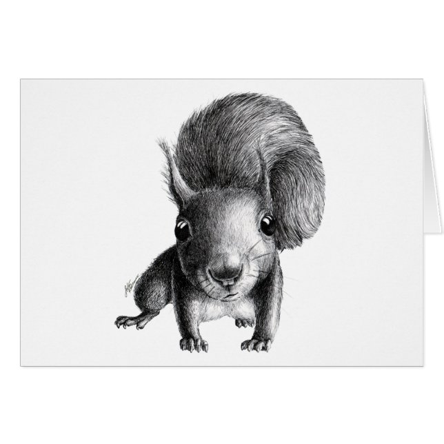 Ardilla curiosa (Anverso (Horizontal))