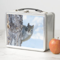 ardilla curiosa, fotografía animal canadiense