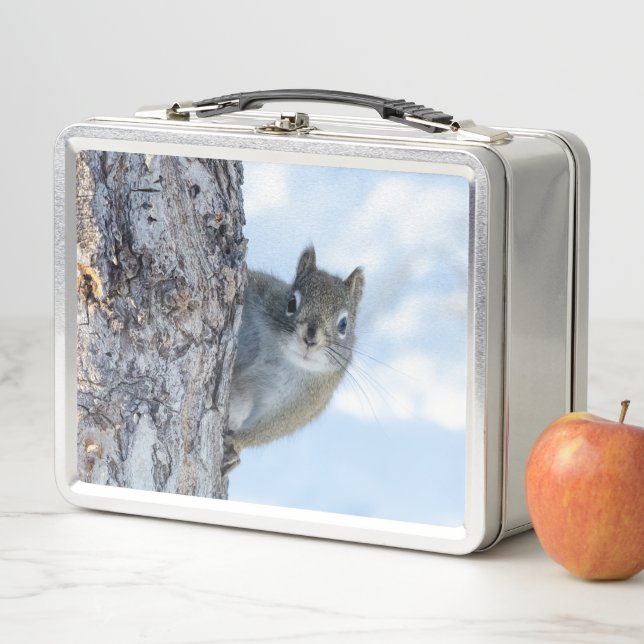 ardilla curiosa, fotografía animal canadiense (In situ)