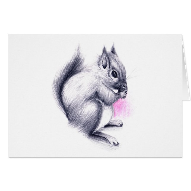 ardilla de bebé (Anverso (Horizontal))