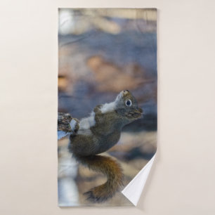 ardilla de invierno: Naturaleza