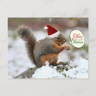 ardilla de Navidad en la nieve