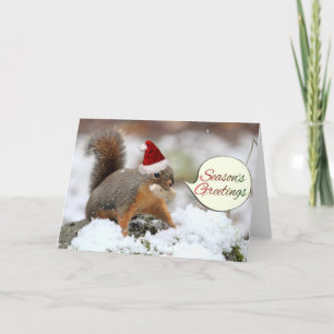 Ardilla de Navidad en nieve