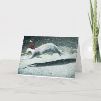Ardilla del navidad