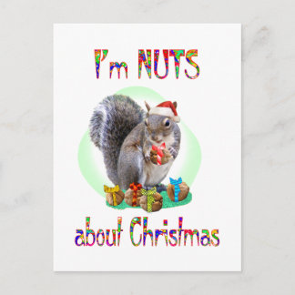 Ardilla del navidad