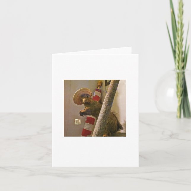 Ardilla del Taxidermy en una tarjeta de nota del (Anverso)