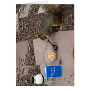 Ardilla en el desayuno