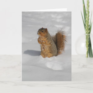 Ardilla en la tarjeta de felicitación de la nieve