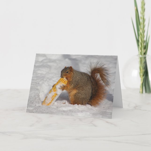 Ardilla en la tarjeta de saludo de nieve (Anverso)