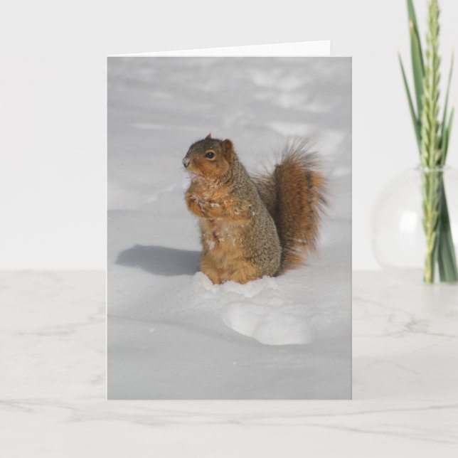 Ardilla en la tarjeta de saludo de nieve (Anverso)