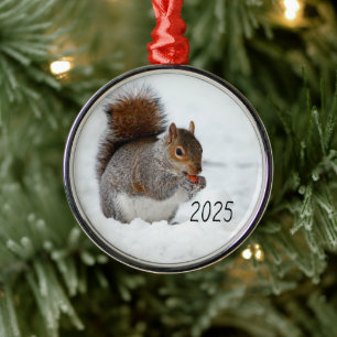 Ardilla en nieve con ornamento de Berry